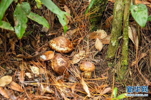 1310648158_16592338782641n 1310648158_16592338782641n