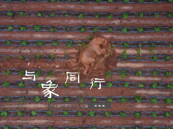 1310648455_16593208442621n