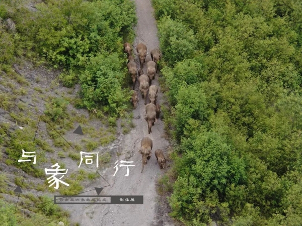 1310648455_16593208442801n