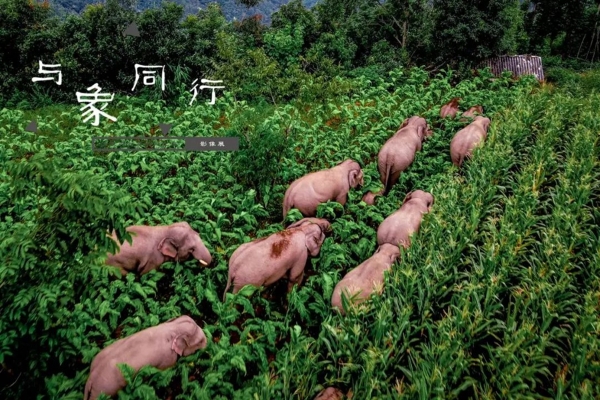 1310648455_16593208442861n