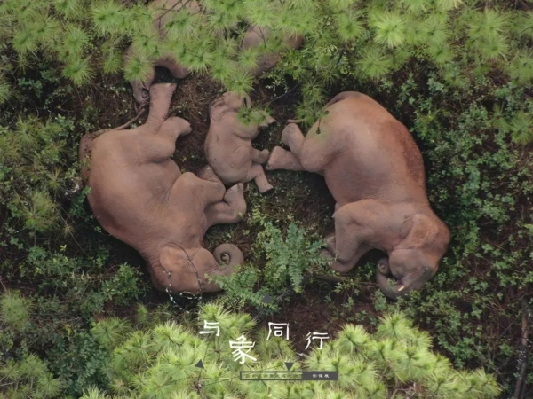 1310648455_16593208442931n