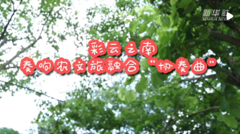 微信截图_20220814194922