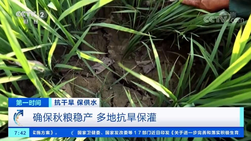 微信图片_20220817150814