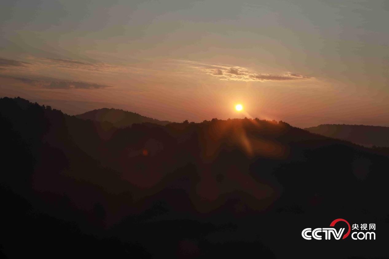 黄龙山国家森林公园 央视网记者 彭俊 摄