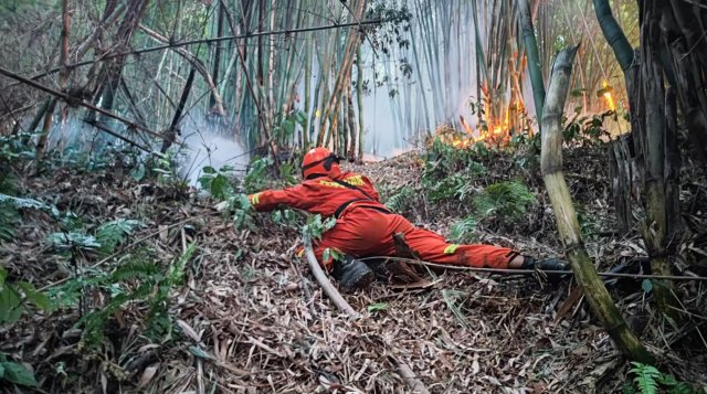 云南省森林消防总队已派出736名指战员增援重庆火场(供图)