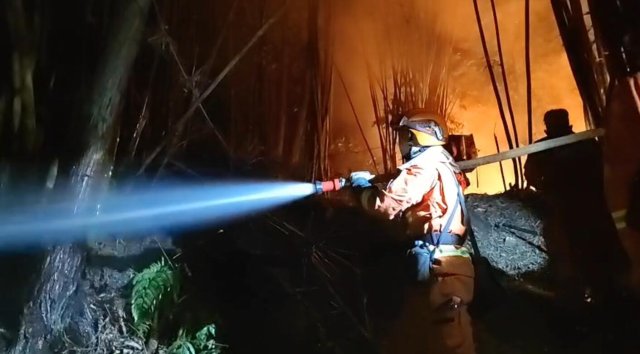 云南省森林消防总队已派出736名指战员增援重庆火场(供图)