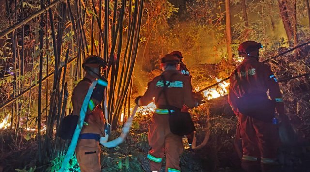 云南省森林消防总队已派出736名指战员增援重庆火场(供图)