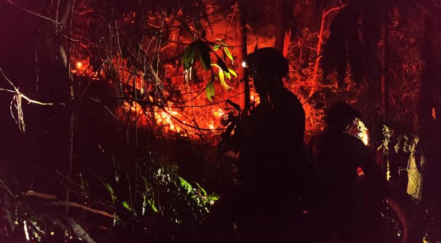 云南省森林消防总队已派出736名指战员增援重庆火场(供图)