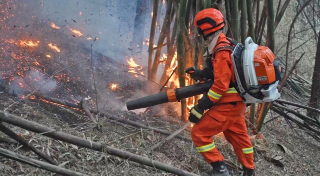 云南省森林消防总队已派出736名指战员增援重庆火场(供图)