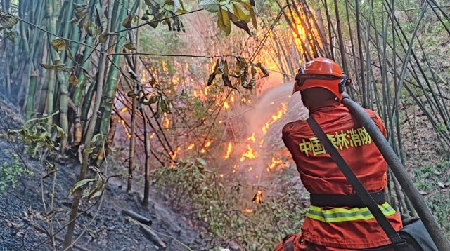 云南省森林消防总队已派出736名指战员增援重庆火场(供图)