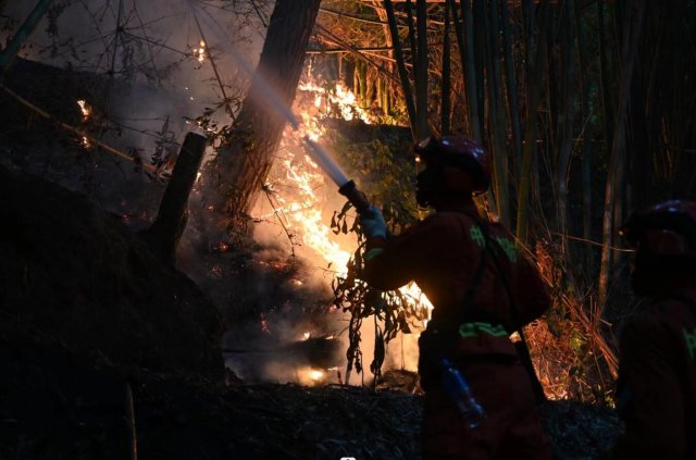 云南省森林消防总队已派出736名指战员增援重庆火场(供图)