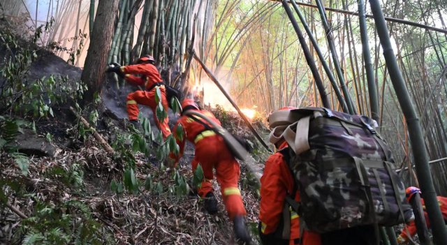 云南省森林消防总队已派出736名指战员增援重庆火场(供图)