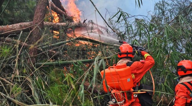 云南省森林消防总队已派出736名指战员增援重庆火场(供图)