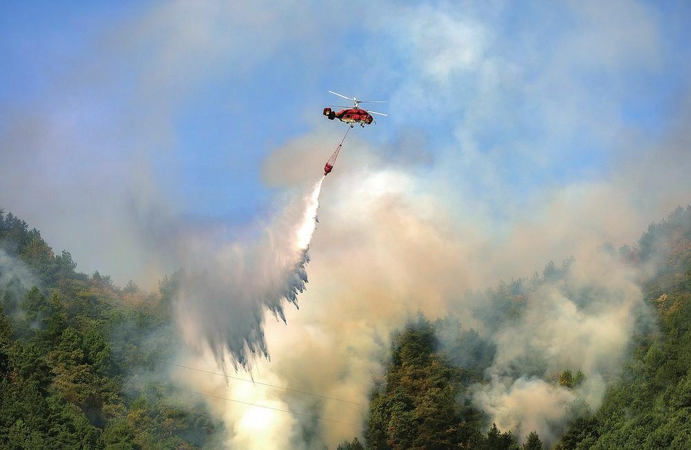 微信图片_202209011030331