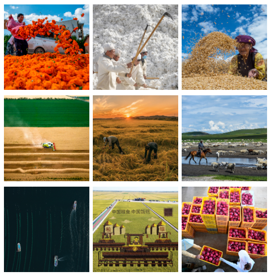 微信截图_20220908172508.png 微信截图_20220908172508.png