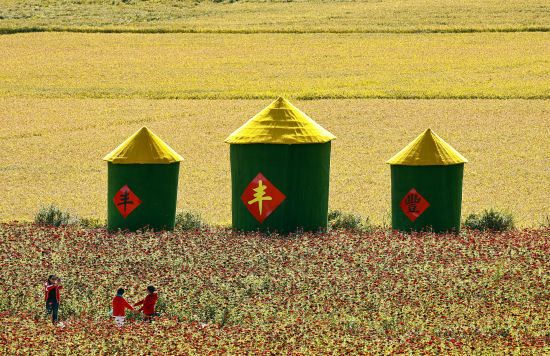 稻谷飘香 丰收在望