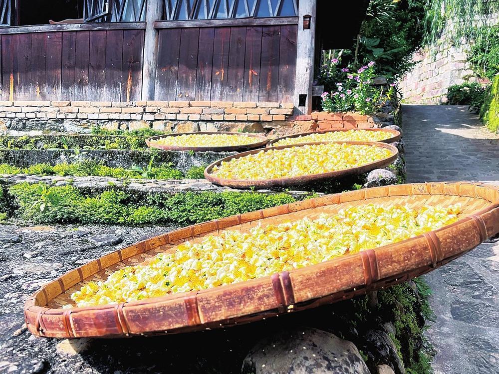 微信图片_20220927122433