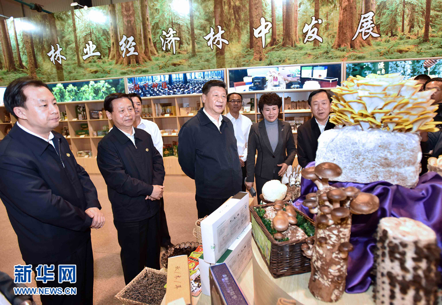 00301426838_71fd4dd3