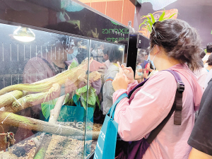 66841664993513326 66841664993513326