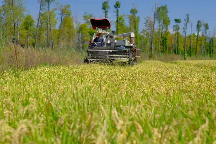 微信图片_20221007111516