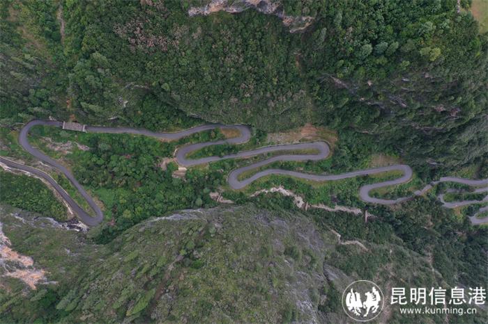 9de44afd5def473416d2da11030a68a