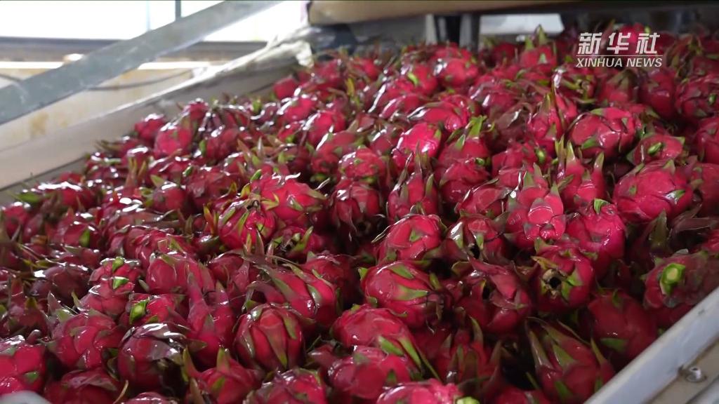 1129070817_16661639654361n