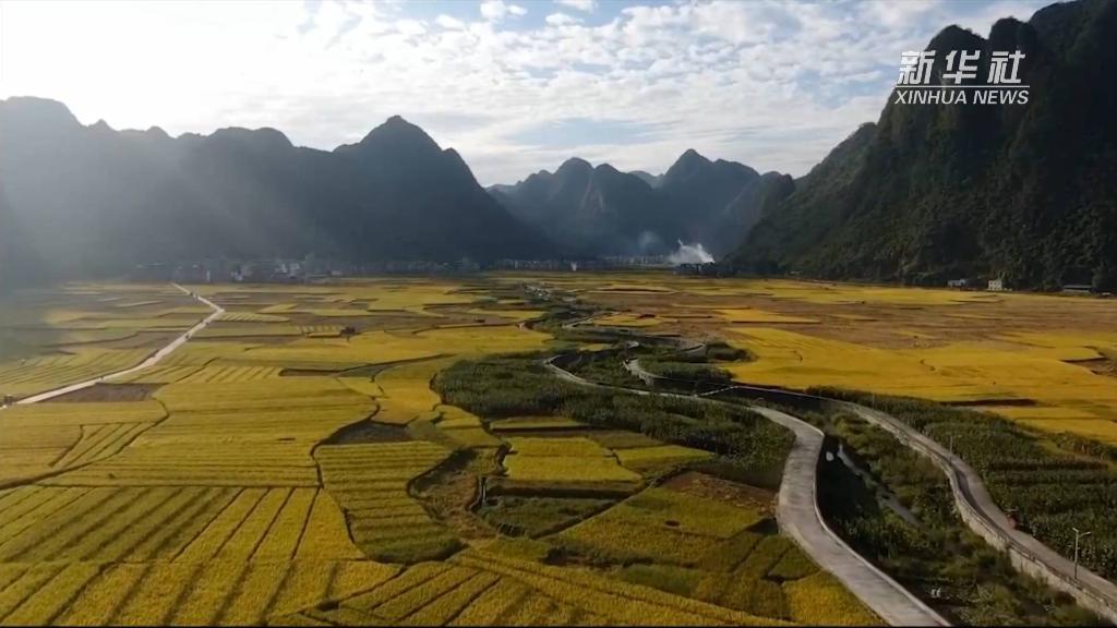 1129070817_16661639654341n