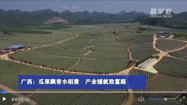 QQ截图20221019205400