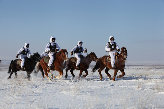 大熊猫“四海”。 中国大熊猫保护研究中心供图