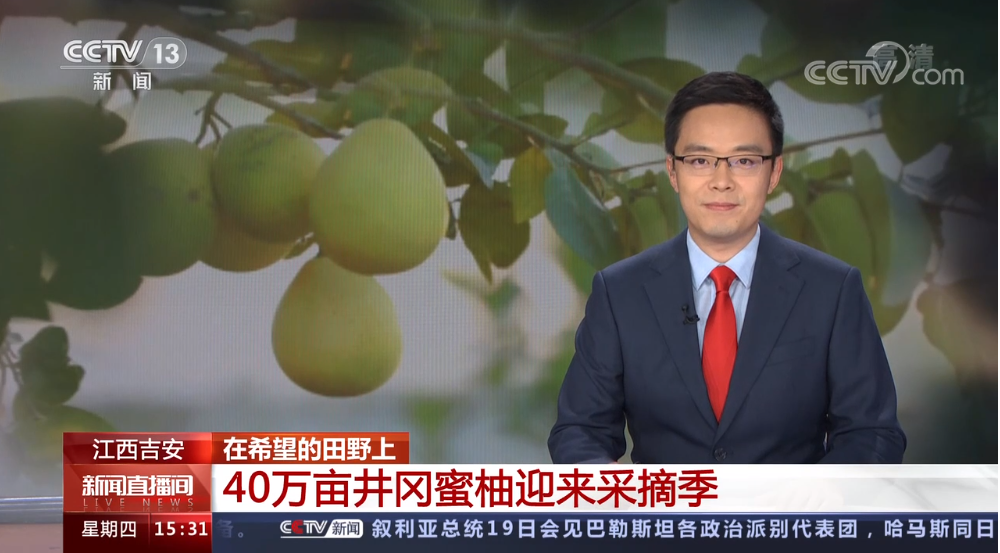 企业微信截图_1666337350597