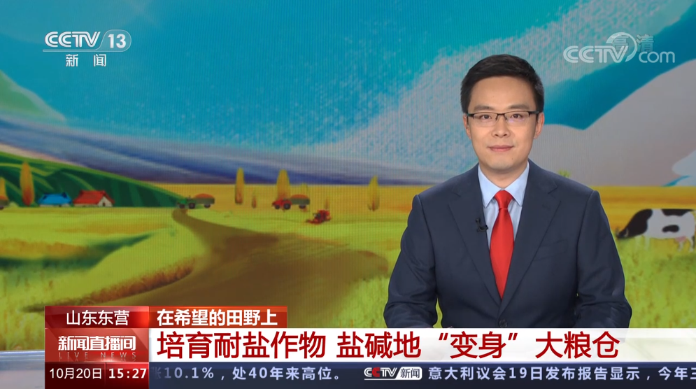 企业微信截图_16663377071802