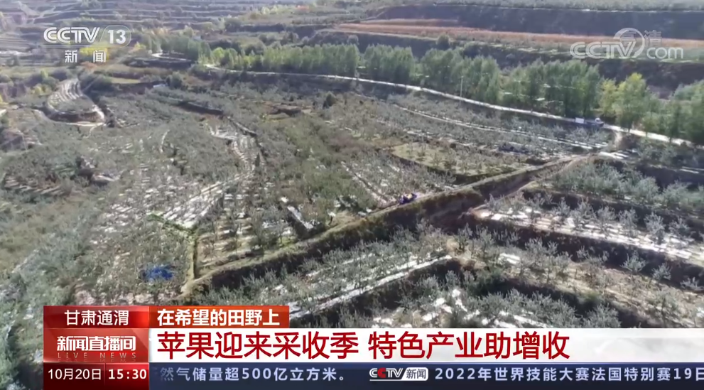 企业微信截图_16663380019470