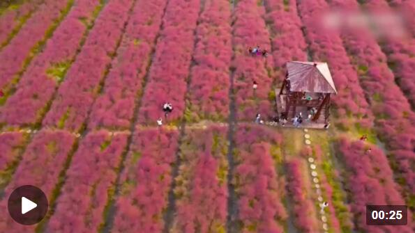 QQ截图20221021180105