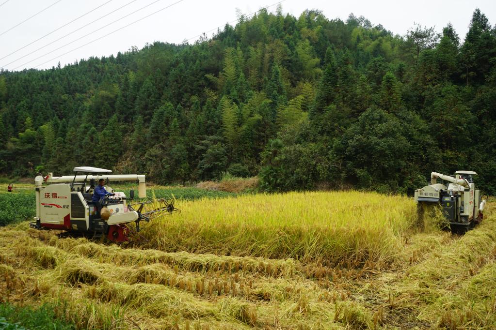 1129072790_16662630342771n