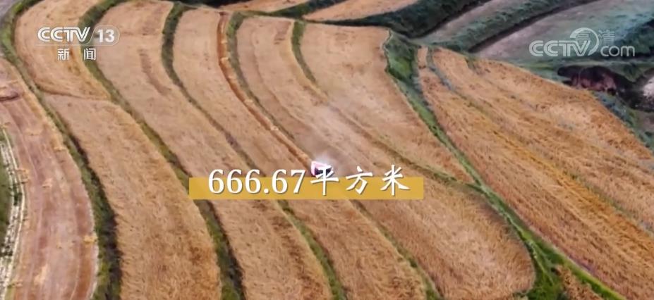 6686体育