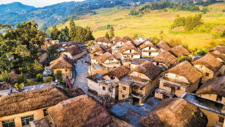 微信截图_20221103075527