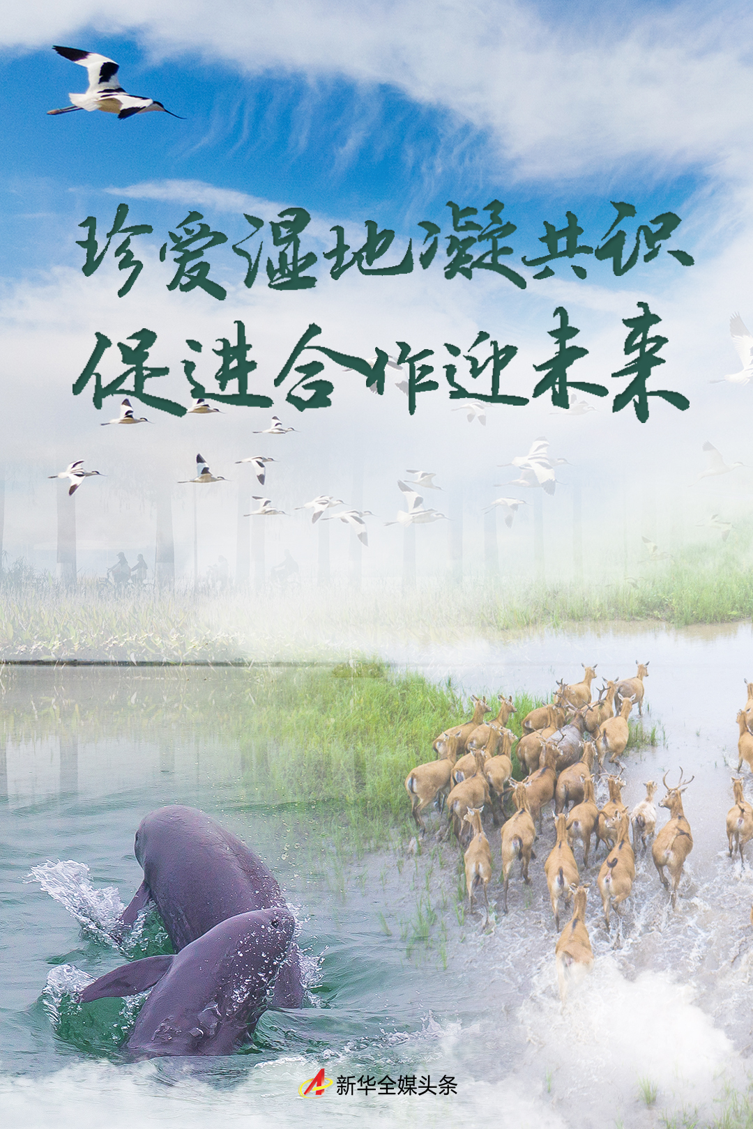 珍爱湿地凝共识 促进合作迎未来——写在《湿地公约》第十四届缔约方大会举办之际 6686体育