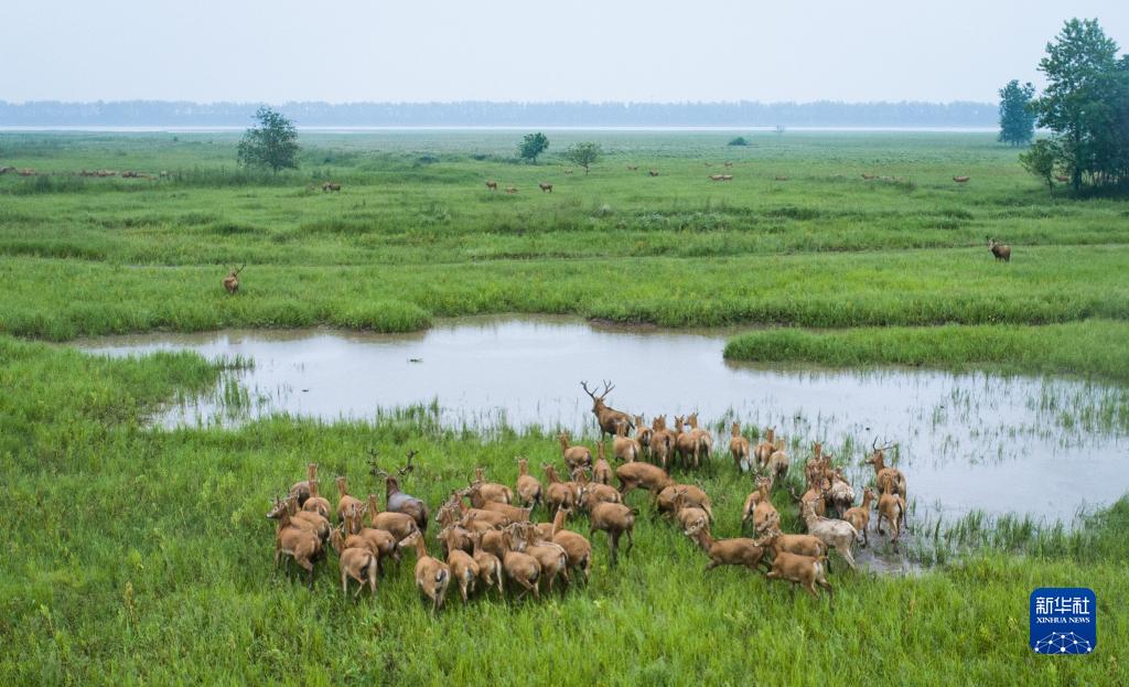 珍爱湿地凝共识 促进合作迎未来——写在《湿地公约》第十四届缔约方大会举办之际 6686体育