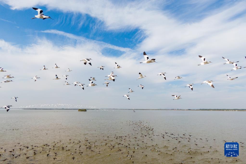 珍爱湿地凝共识 促进合作迎未来——写在《湿地公约》第十四届缔约方大会举办之际 6686体育