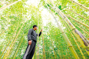 微信图片_20221109090248