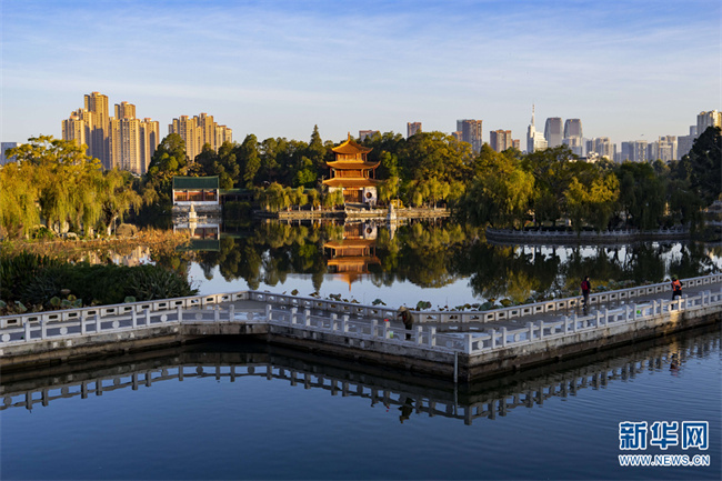 1310676520_16684727753371n 1310676520_16684727753371n