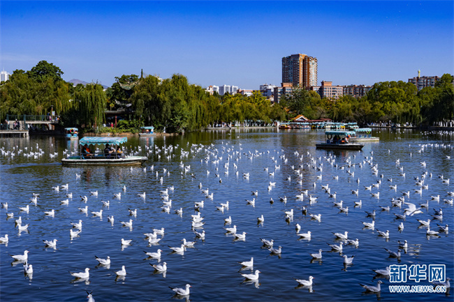 1310676520_16684727759381n 1310676520_16684727759381n