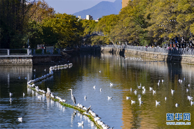 1310676520_16684727763251n 1310676520_16684727763251n