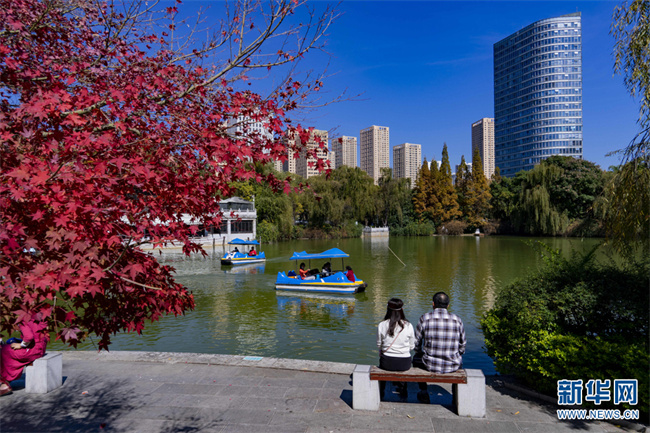 1310676520_16684727764201n 1310676520_16684727764201n