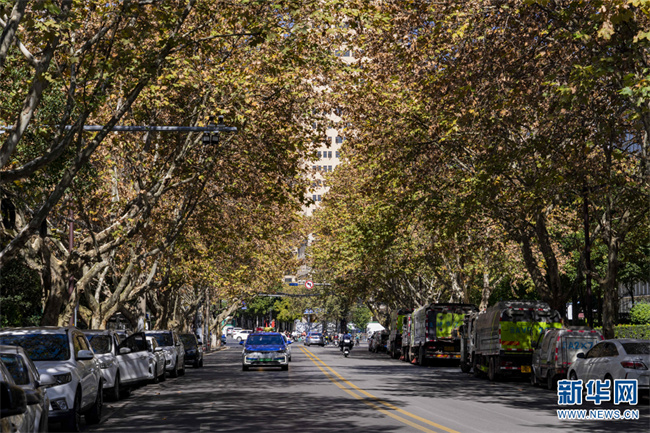 1310676520_16684727765231n 1310676520_16684727765231n