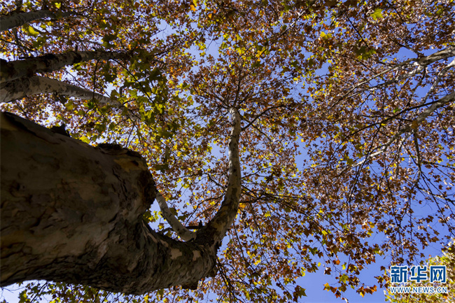 1310676520_16684727767271n 1310676520_16684727767271n