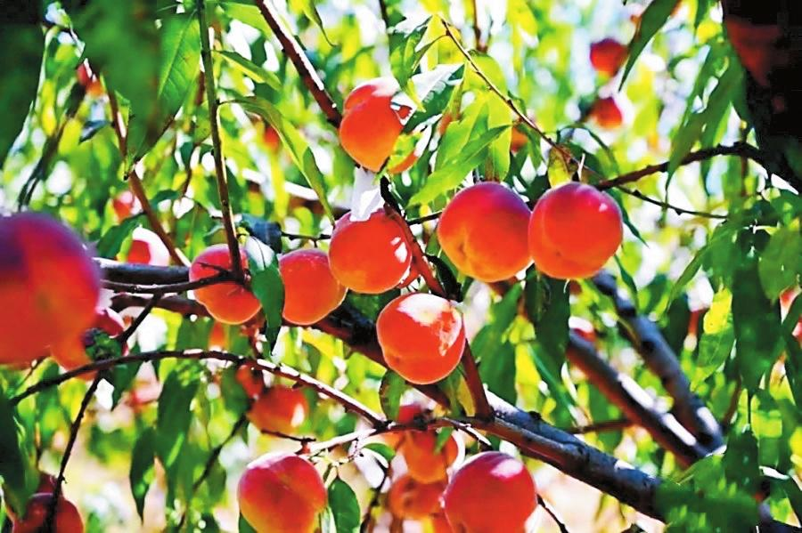 企业微信截图_16695234269865