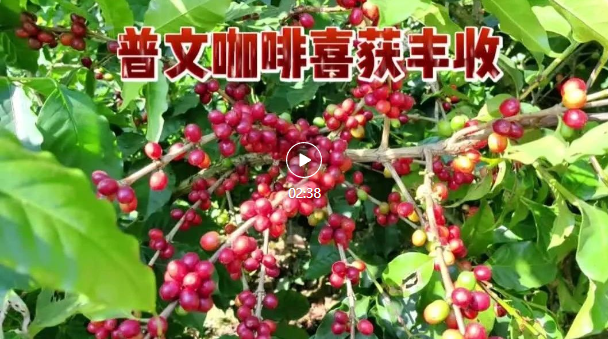 企业微信截图_16704687105376