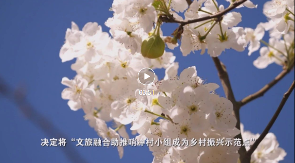 1670469891887 1670469891887