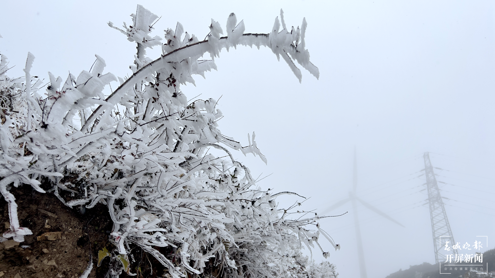 者磨山雾凇奇观,惊艳大理冬日时光! (2).png